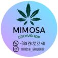 Mimosa Grow Shop